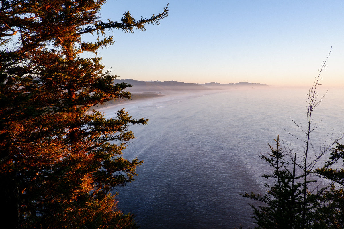 Serene landscape with trees and a misty lake at sunset.